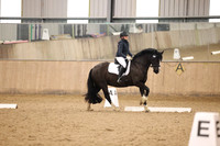 Classes 6 & 12 - Novice 2