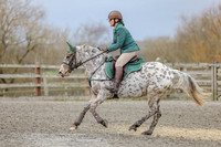 R5JH0339