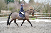 ARENA 2 - Novice 2