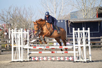 04.03.26 British Showjumping, Allens Hill Competition Centre