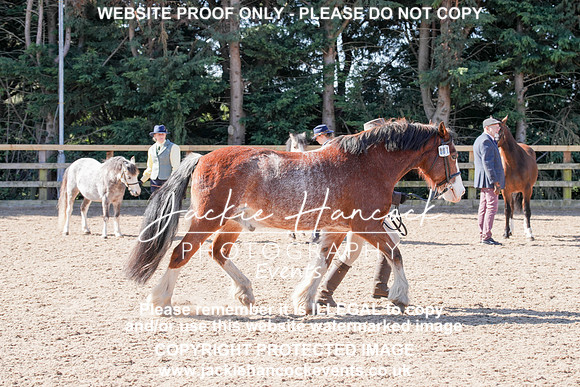 DSC00439-2