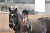 10 & 11 - SSADL Pre-senior & Senior - In-hand (09:00)