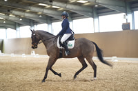 08.03.26 Unaffiliated Dressage, Stourport Riding Centre