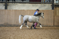 7, 8, 9 - ID Youngstock, Sportshorse & Maturity - In-hand