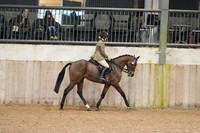 20 - ROR Novice - Ridden (12:00)
