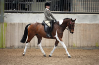 22 - Rising Star Hack/Riding - Ridden