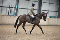 25 - Rising Star Racehorse to Show Horse - Ridden