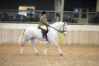 29 & 30 Hunters small & open - Ridden
