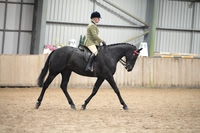 31 - Open Riding Horse - Ridden