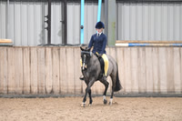 17 - Open Show Ponies - Ridden