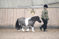 10 - 14 Veteran Championship - In-hand & Ridden