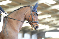 SN_01179