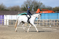 All Dressage (12:00 - 14:00hrs)