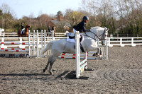 All Showjumping (10:00 - 12:00hrs)