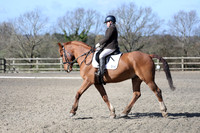 All Dressage - between 09:30 - 12:00hrs