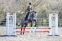 All Showjumping - between 09:30 - 12:00hrs