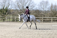 All Dressage - between 12:00 - 14:30hrs