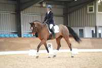 15.03.26 British Dressage, Stourport Riding Centre