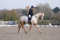 ARENA 2 - All Dressage between 11:00 - 12:00