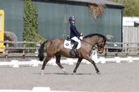 ARENA 1 - All Dressage between 11:00 - 13:00