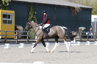 ARENA 1 - All Dressage between 13:00 - 15:00
