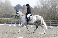 ARENA 2 - All Dressage between 09:00 - 11:00