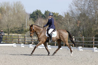 ARENA 2 - All Dressage between 13:00 - 15:00