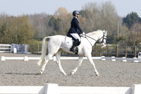 ARENA 2 - All Dressage between 11:00 - 13:00