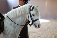SRC-Showing-220326-108