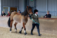 SRC-Showing-220326-706