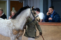 SRC-Showing-220326-710