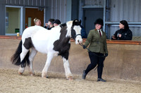 SRC-Showing-220326-711