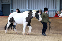 SRC-Showing-220326-712