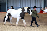SRC-Showing-220326-713