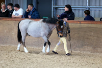 SRC-Showing-220326-715