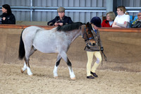 SRC-Showing-220326-716