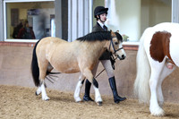 SRC-Showing-220326-719