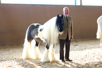 SRC-Showing-220326-116
