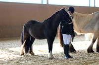SRC-Showing-220326-118