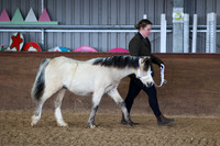 SRC-Showing-220326-157