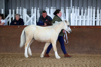 SRC-Showing-220326-159