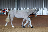 SRC-Showing-220326-162