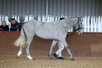 SRC-Showing-220326-163