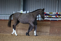 SRC-Showing-220326-164