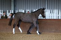 SRC-Showing-220326-165