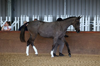 SRC-Showing-220326-166