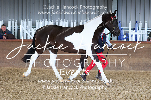 SRC-Showing-220326-190