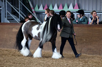 11 Best Senior Handler
