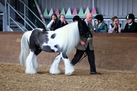 SRC-Showing-220326-256