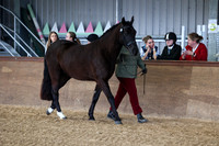 SRC-Showing-220326-254